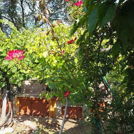 Medusa Gorgon Villa Develíkia