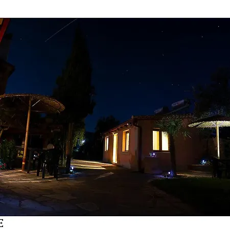 Medusa Gorgon * Develíkia